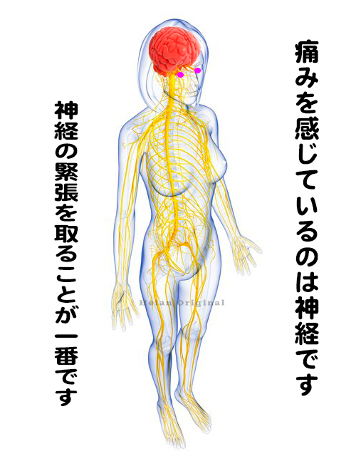 群発神経図