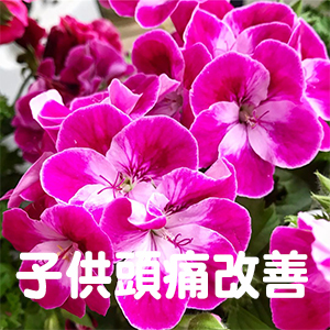子供,頭痛,京都,大阪,奈良