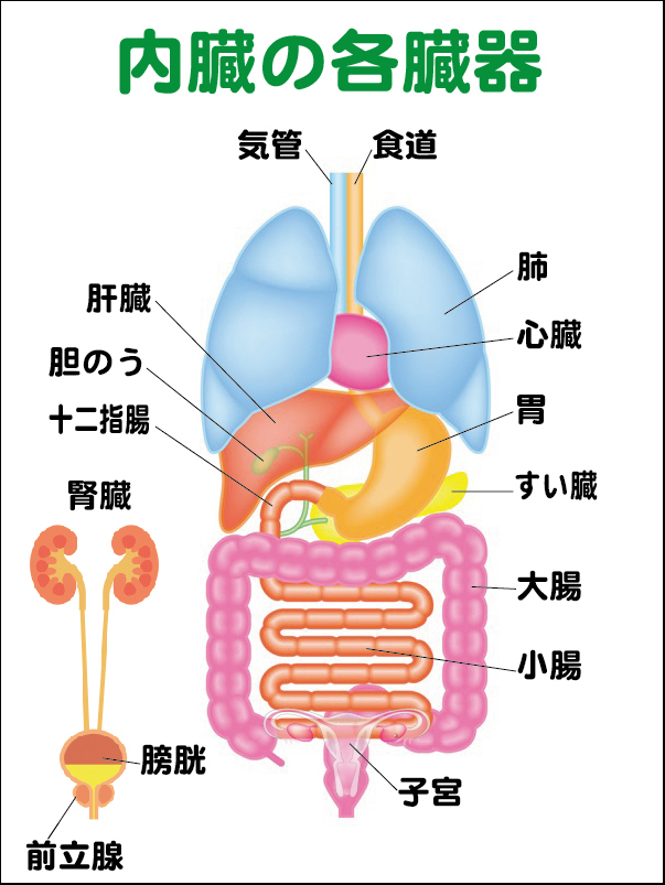 群発頭痛