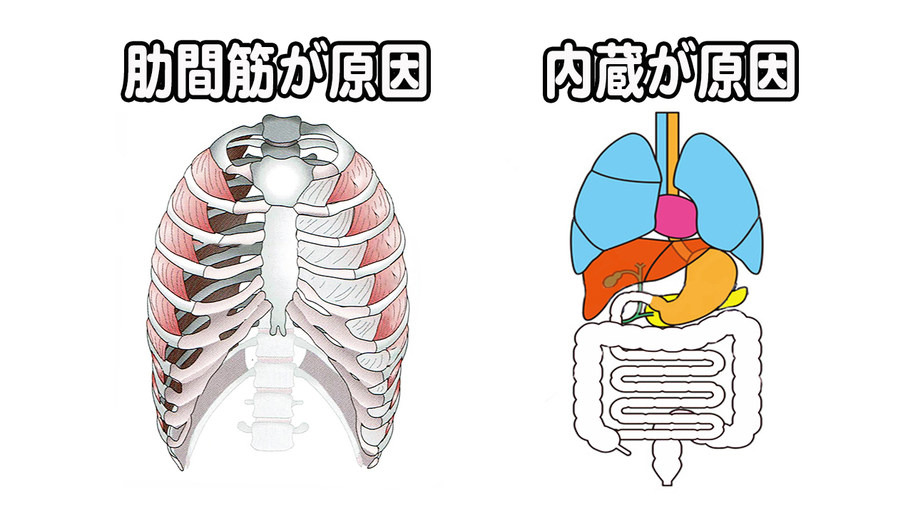 自律神経
