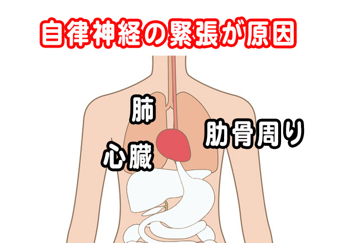 自律神経