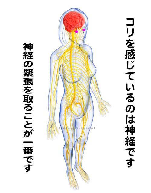 肩こり首こり