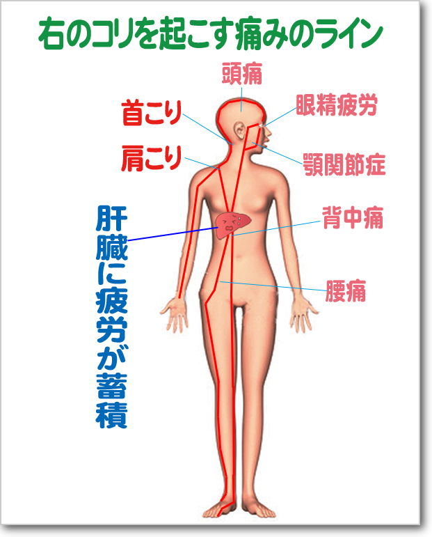 画像の説明