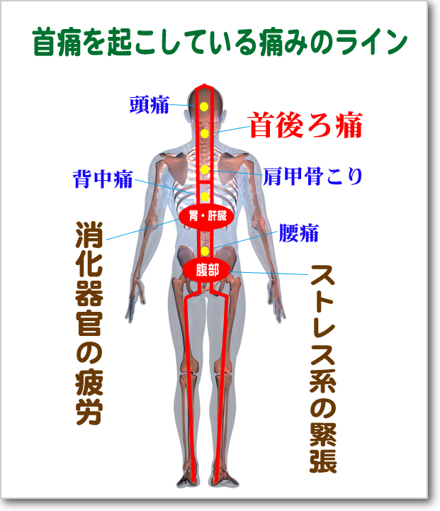 画像の説明