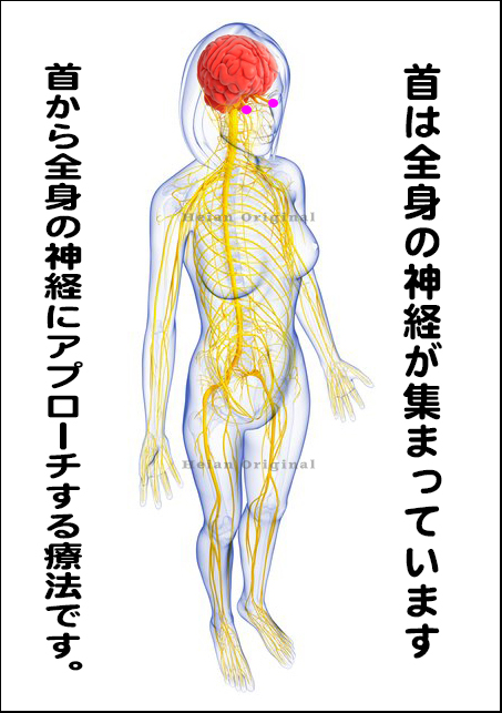 自律神経,片頭痛,子供頭痛,群発頭痛